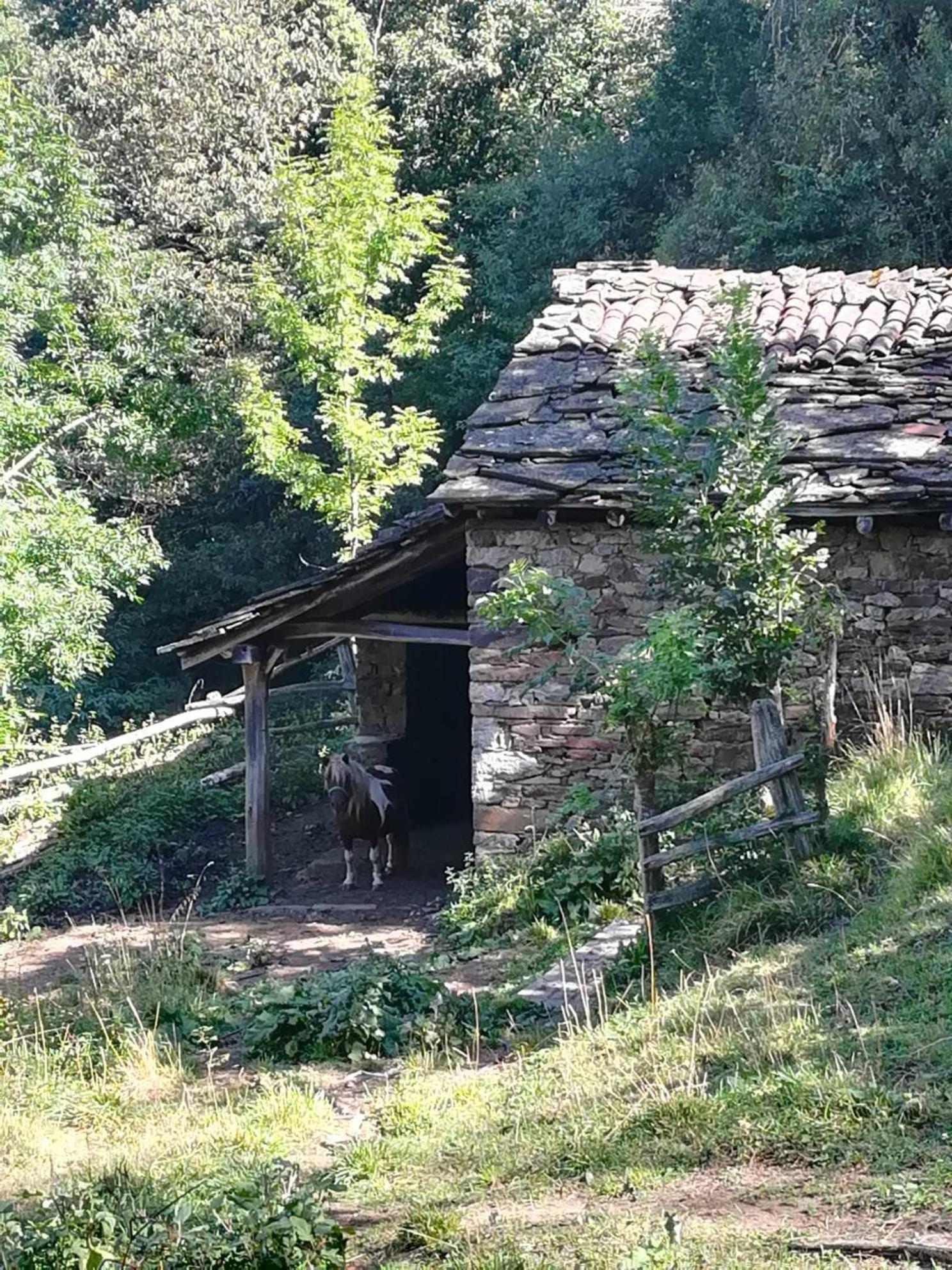 Encanto Asturiano Aller المظهر الخارجي الصورة