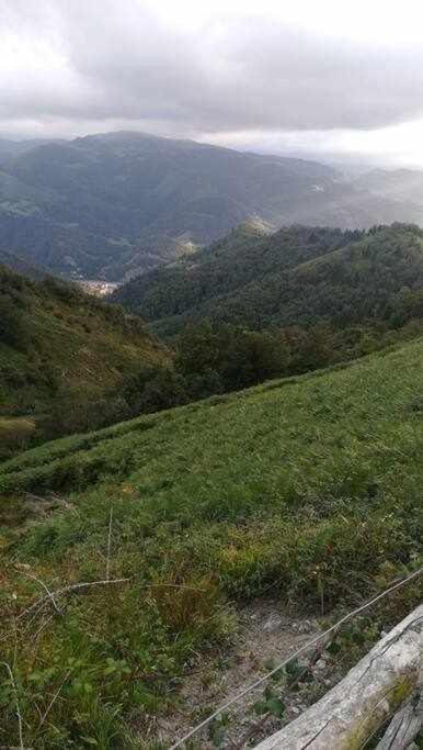 Encanto Asturiano Aller المظهر الخارجي الصورة