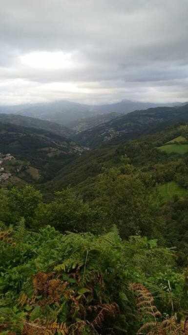 Encanto Asturiano Aller المظهر الخارجي الصورة